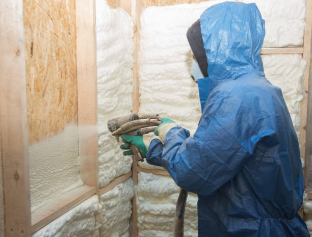 Best Insulation for New Construction  in Socastee, SC